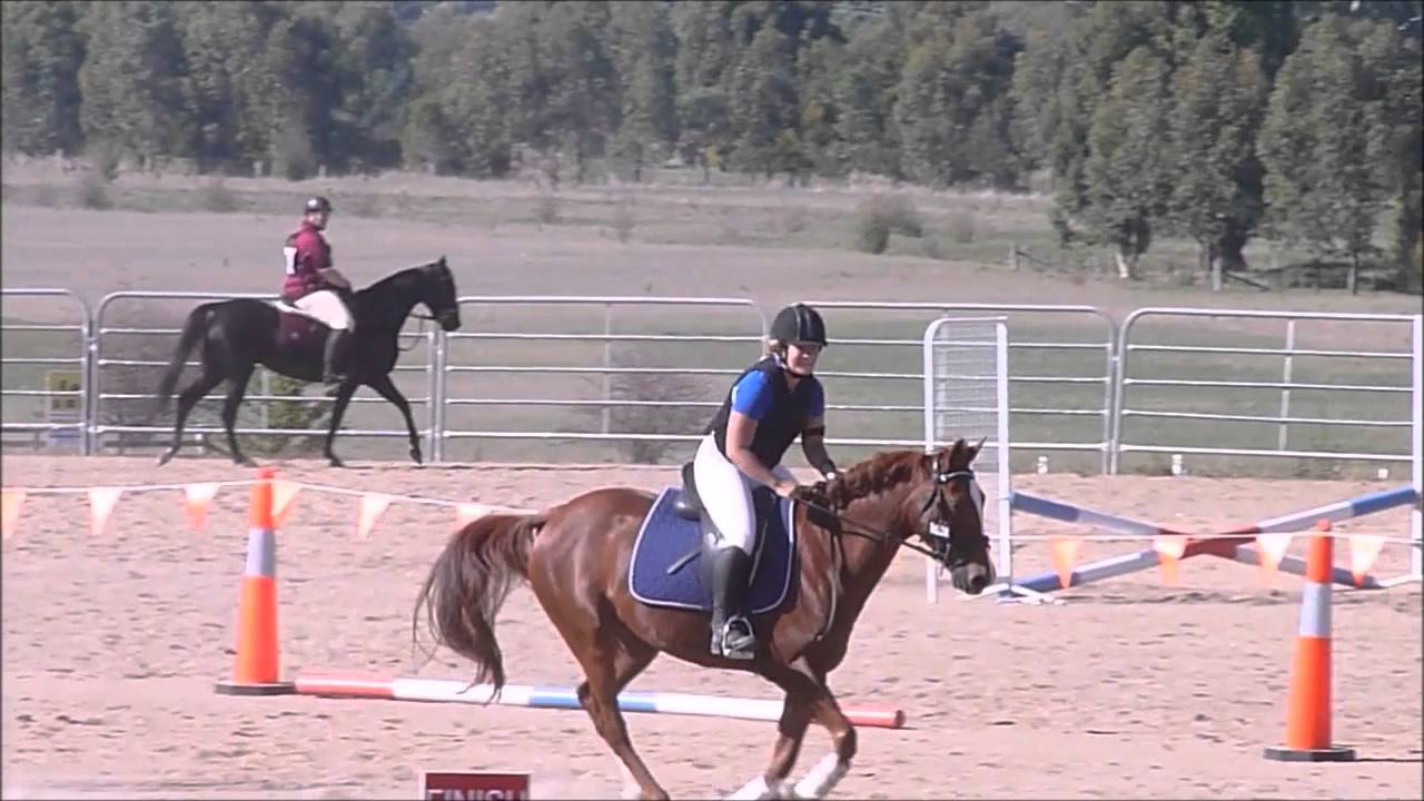 Mansfield Horse Trials - YouTube