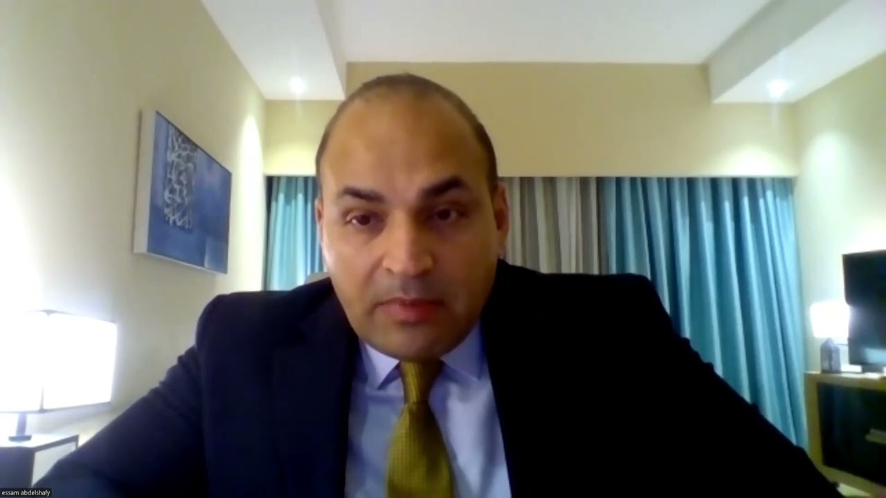 محاضرة الأستاذ الدكتور عصام عبدالشافي (الأزمة الأوكرانية ومستقبل النظام الدولي)