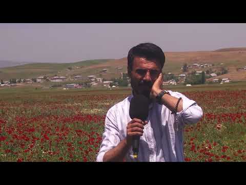 DENGBÊJ ERGİN -