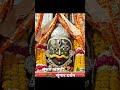 #mahakalstatus #bhagyalaxmi #devokedevmahadev #ayodhya #ramnavami #sriram #ujjain