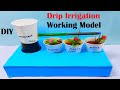 Drip irrigation working model science project for exhibition  in simple and easy  diy pandit