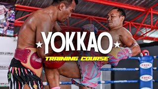 Saenchai Style | Jab cross Basic Muay Thai Technique | YOKKAO Training Course