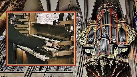 PRAISE TO THE LORD - Diane Bish