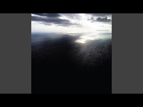 Graham Lewis — Prism Buzzard