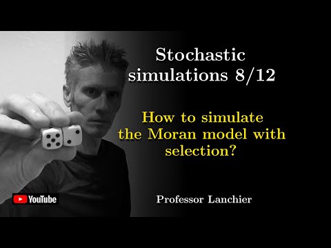 18-08. Stochastic simulations