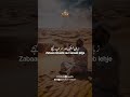 Mein Apna Rabb Ko Pukarta Hu #Shorts #Nasheed #IslamicShorts #Hamd #UrduStatus