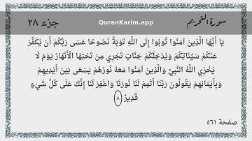 066 - سورة التحريم - Surah: At-Tahrim - Maher Al Mueaqly ماهر المعيقلي