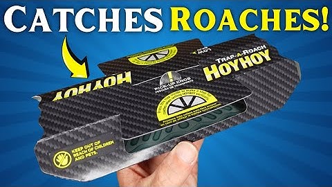 HOY HOY Trap A Roach: HOW TO SET IT UP and ASSEMBLE Your Glue Trap!