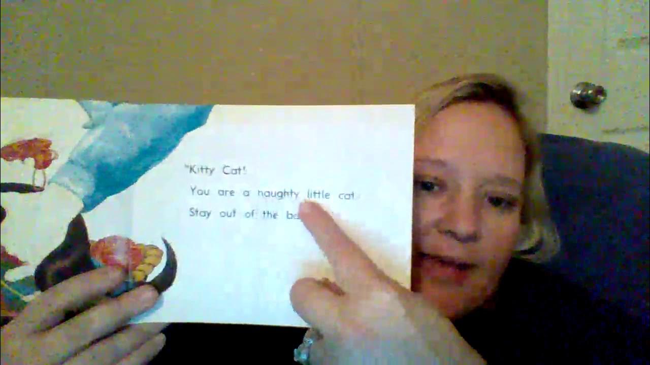 Book Kitty Cat Plays Inside YouTube