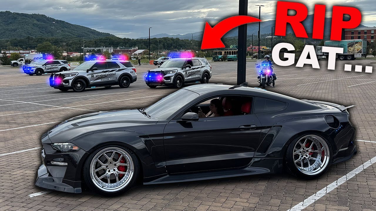 Культура поглощения РАЗРУШЕНА Гатлинбург 2025 — вот что произошло…