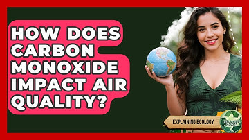 How Does Carbon Monoxide Impact Air Quality? - Explaining Ecology