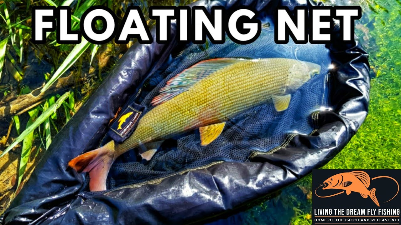 Living The Dream Catch And Release Floating Fishing Net Review