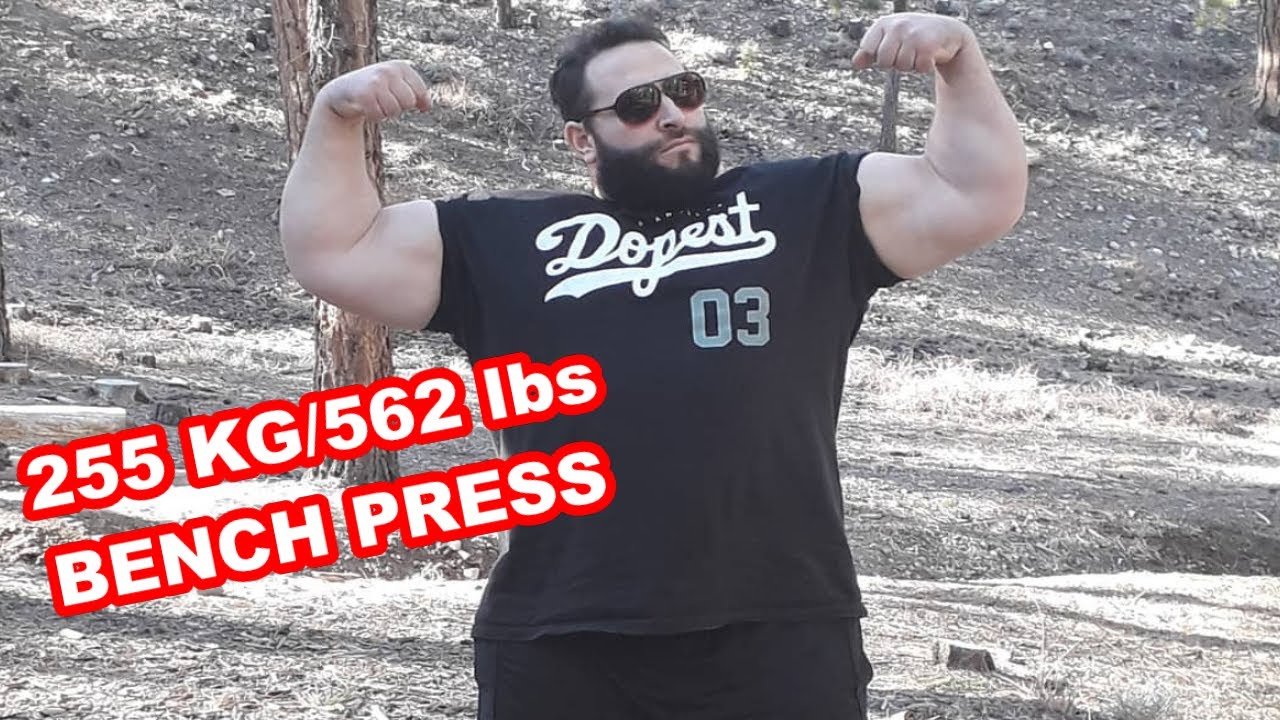 255 Kg/562 lbs BENCH PRESS/Road to 180 Kg Loglift YouTube