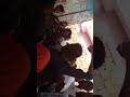 ٧ أغسطس ٢٠٢٢ 