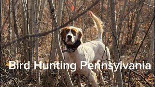 Bird Hunting Pennsylvania with Robert Ecker Details