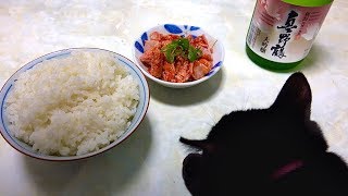 【珍味】獲れた寒ブリの胃袋で韓国風チャンジャ作ってみた。