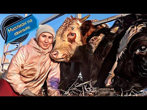 Размеры опоросного станка и клетки для опороса !