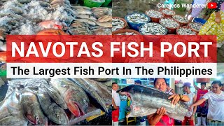 THE LARGEST FISHPORT IN THE PHILIPPINES | Navotas Fish Port & Market