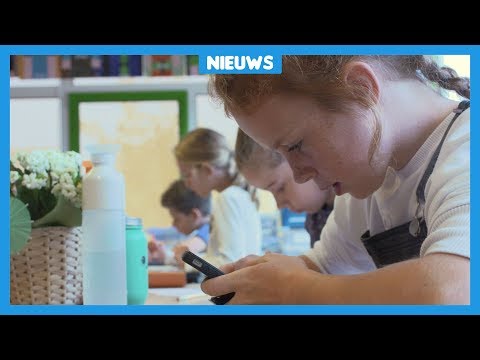 Video: Moeten kinderen huiswerkprofessionals hebben?