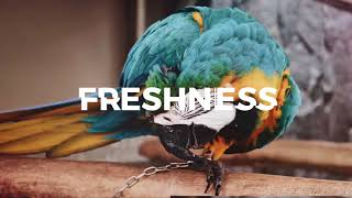 Fast Dynamic Slideshow | After Effects template