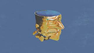 Genius Of Time - Sunswell