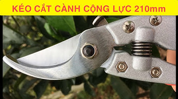 KÉO CẮT CÀNH CỘNG LỰC 210MM
