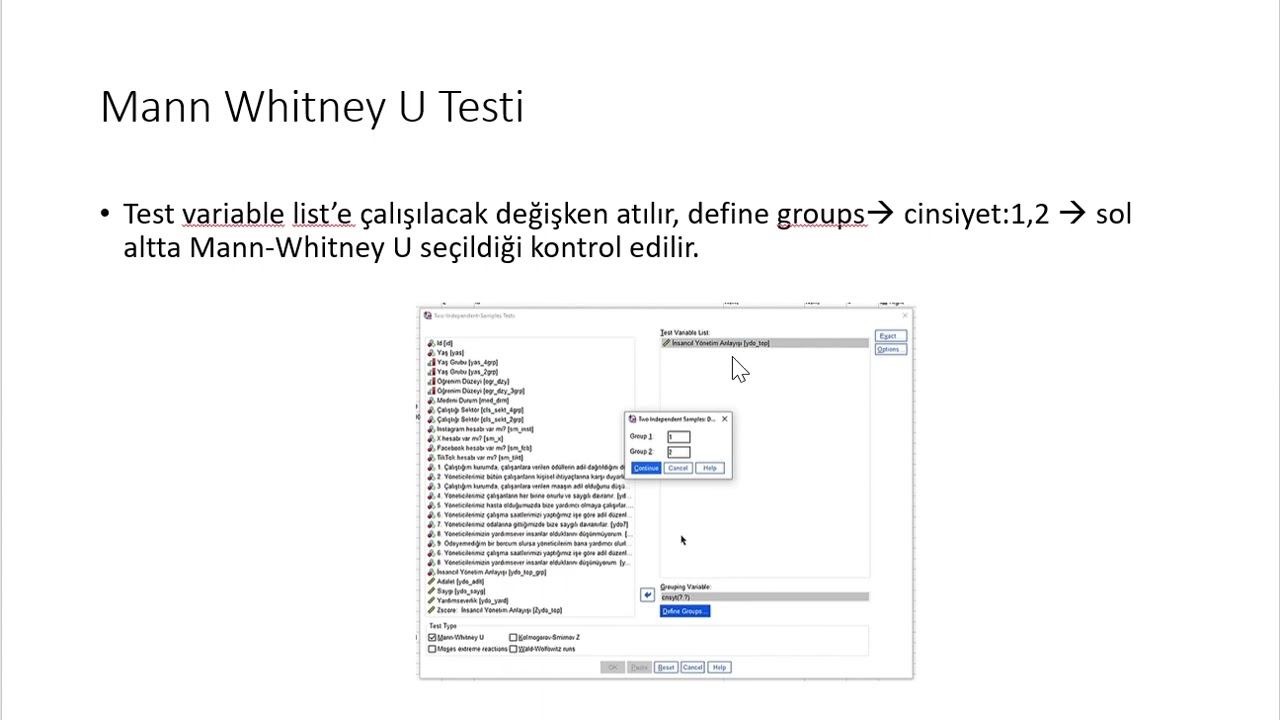 Mann Whitney U testi