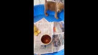 20140705 1216371