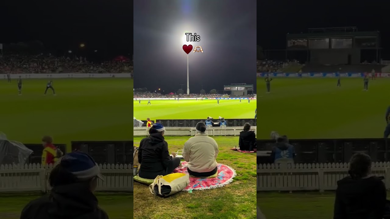 Bay Oval — where cricket feels personal.