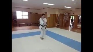 Kata Chinto Wado-Kai