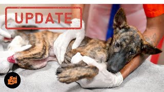 Survivor Of Horrific Attack Now Ready For A Home