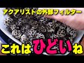 中は闇？外部フィルターの流量低下で久しぶりに掃除をしてみたら中が大変なことに…テトラVX-75メンテナンス #アクアリウム #熱帯魚 【ビバアクア】