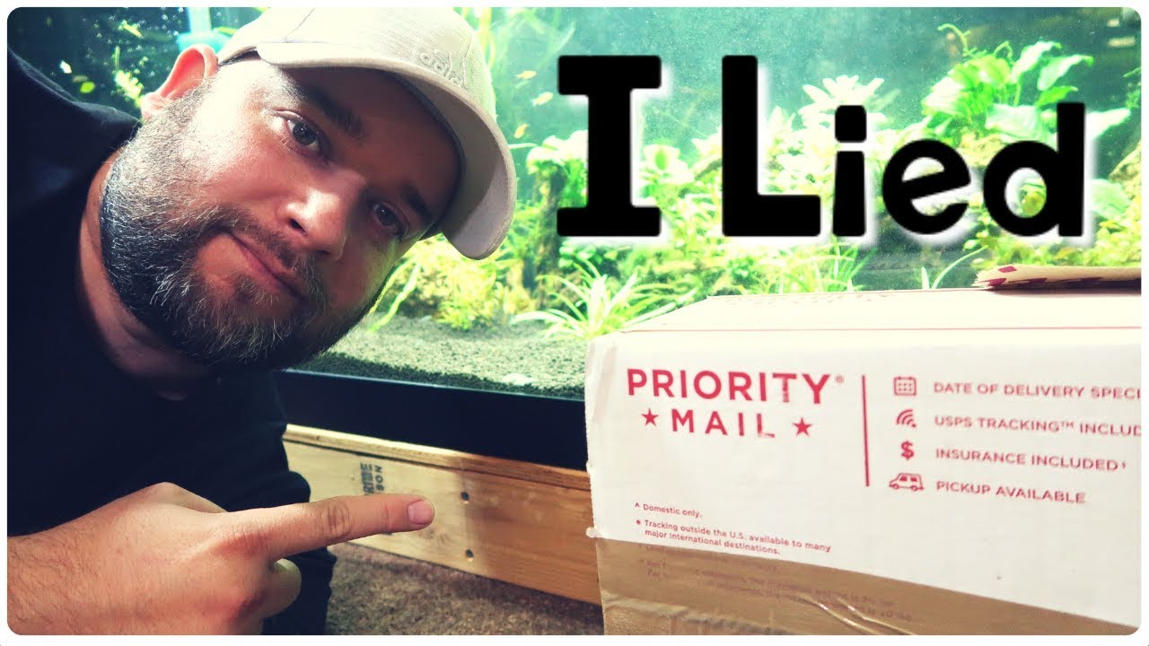 pole dancing classes in delhi More of the Cutest Catfish Ever!!