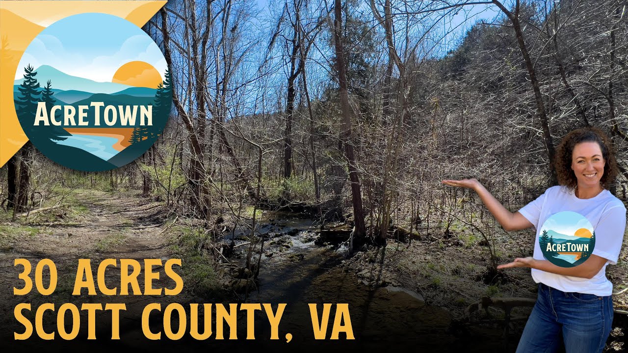 Cheap Land in Virginia w/2 Creeks | 30 acres | Very Buildable | Paved Road | 2 mins to Clinch River