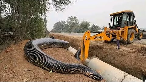 New JCB 3dx Eco Loading Mud Tractor