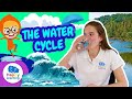 Understanding the Water Cycle