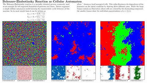 Belousov-Zhabotinsky Reaction as Cellular Automaton - Initial Condition