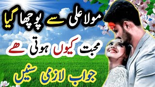 Muhabbat Paida Q Hoti H | Mola Ali Ka Farman | Brother Zeeshan