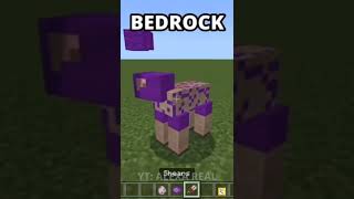 minecraft java vs bedrock! #shorts #minecraftshorts