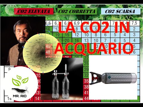 Video: Quando la co2 viene fatta passare attraverso l'acqua calcarea?