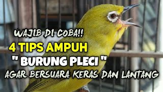 4 Tips Pleci Agar Suara KERAS dan LANTANG