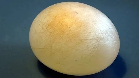 Bouncy (Rubber) Egg DIY - Cool Science Experiment