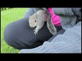 Beginning of video