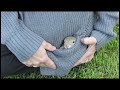 End of video