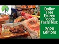 DOLLAR TREE FROZEN FOODS TASTE TEST | 2020 EDITION | NEW ITEMS!