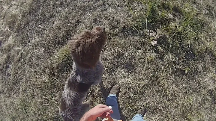 Starting Stop to Flush and steadiness