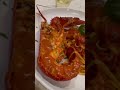LOBSTER 🦞🦞💯🙌🤩🇮🇹😮💨😮💨