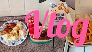 Vlog/peču bublaninu čistím pračku a tak🌺