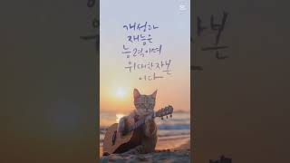 돌고래잠언#좋은글 #신앙 #하나님사랑 #재능#자본#사소한대화도 ok