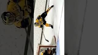Original Michigan from Michigan by Mike Legg 🔥🏒🥅🔥 #hockey #ncaa #goal #handeyecoordination